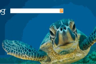 bing-image-search3